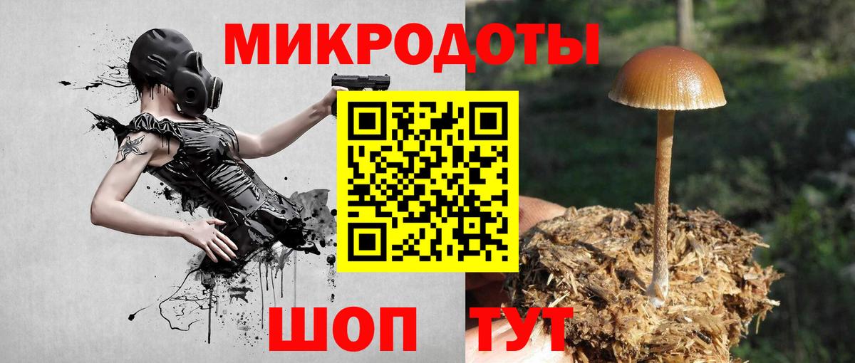Камышлов  Псилоцибиновые грибы Psilocybe  Вход с VPN  Галлюциногенные грибы Magic Shrooms 